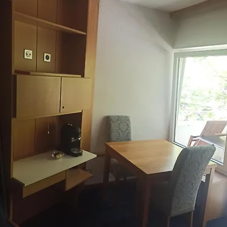 Haus Zerfreila アパート